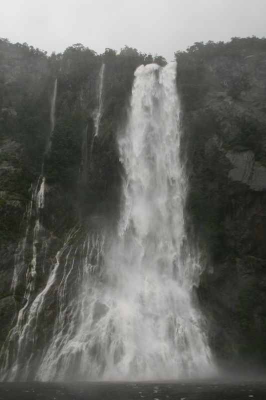 Nieuw-Zeeland 2011 - 1688